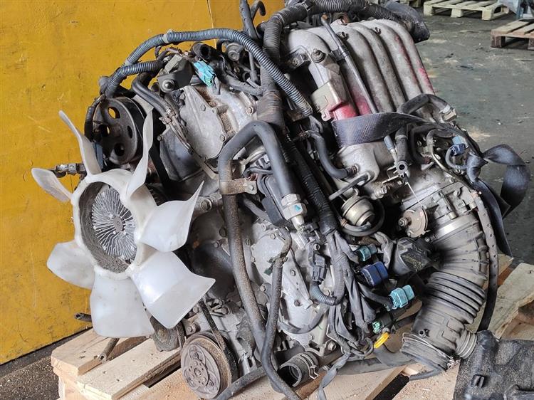 Двигатель Ниссан Эльгранд в Таганроге 51254