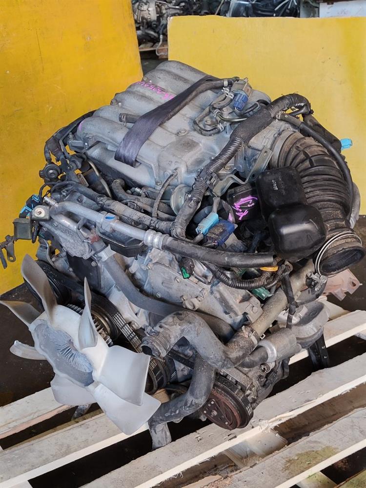 Двигатель Ниссан Эльгранд в Таганроге 51266